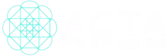 ACTA Football